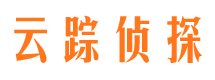 谢家集市侦探公司